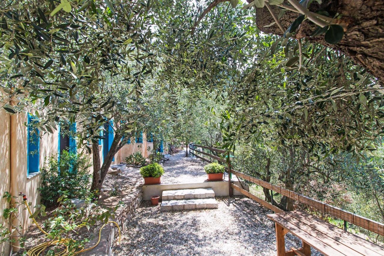 Rifugio Gorropu Villa ดอร์กาลี ภายนอก รูปภาพ